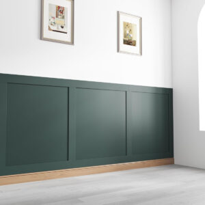 Wall panelling living room home scene green
